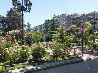 20170524-143533-largejpg